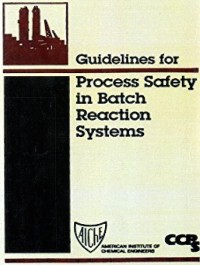 GUIDELINES FOR PROCESS IN BATCH REACTION SYSTEMS